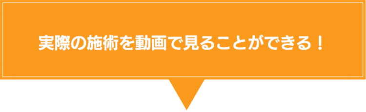 動画で見れる!